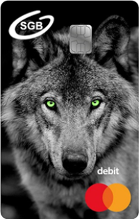 Grafika przedstawiająca wzór karty Visa Debit z wizerunkiem wilka