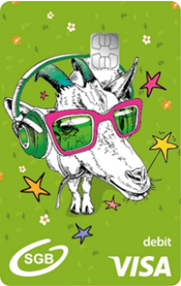 Grafika przedstawiająca wzór karty Visa Debit Junior