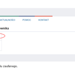 8. Po zatwierdzeniu ponownie nastąpi przekierowanie na stronę Profilu Zaufanego („Profil zaufany Użytkownika”). W prawym...